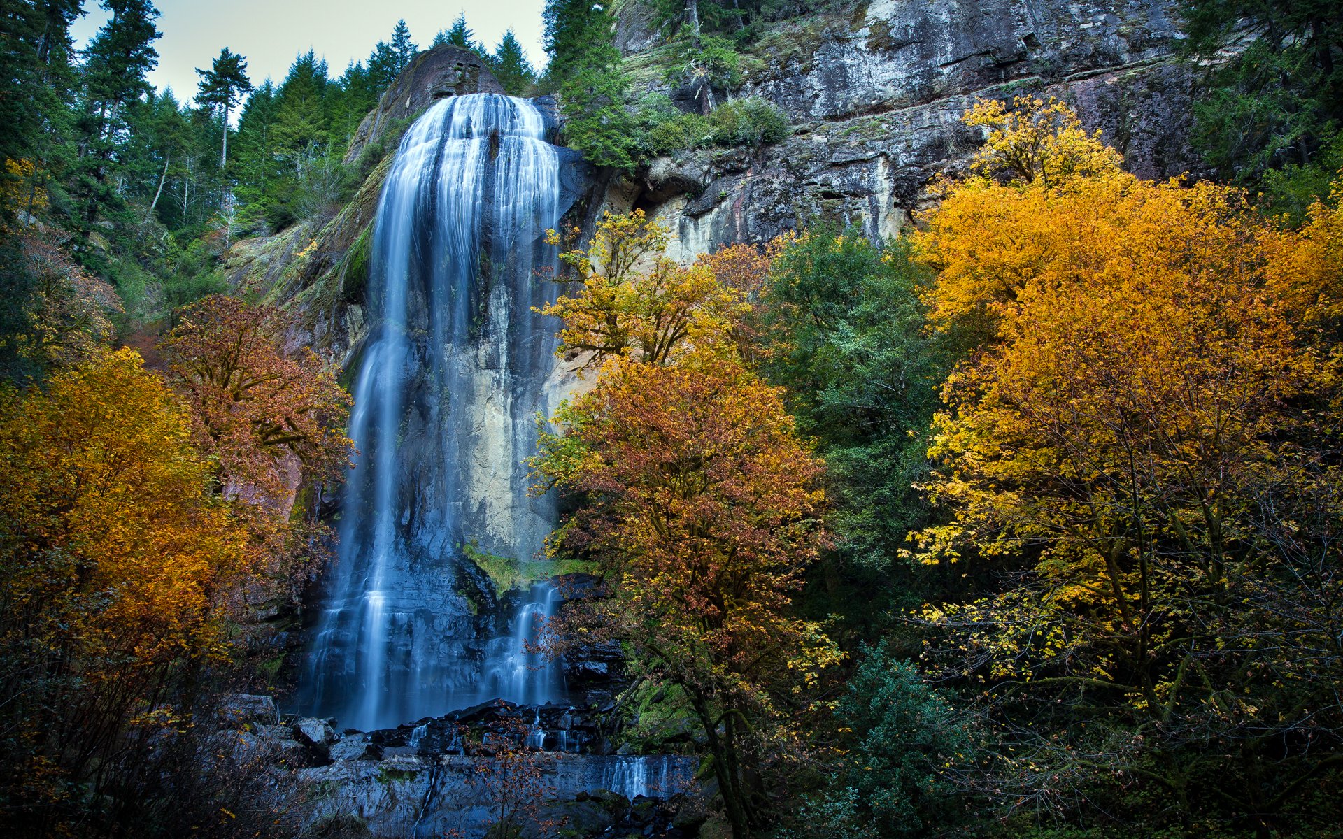 autumn tree foliage waterfall rock