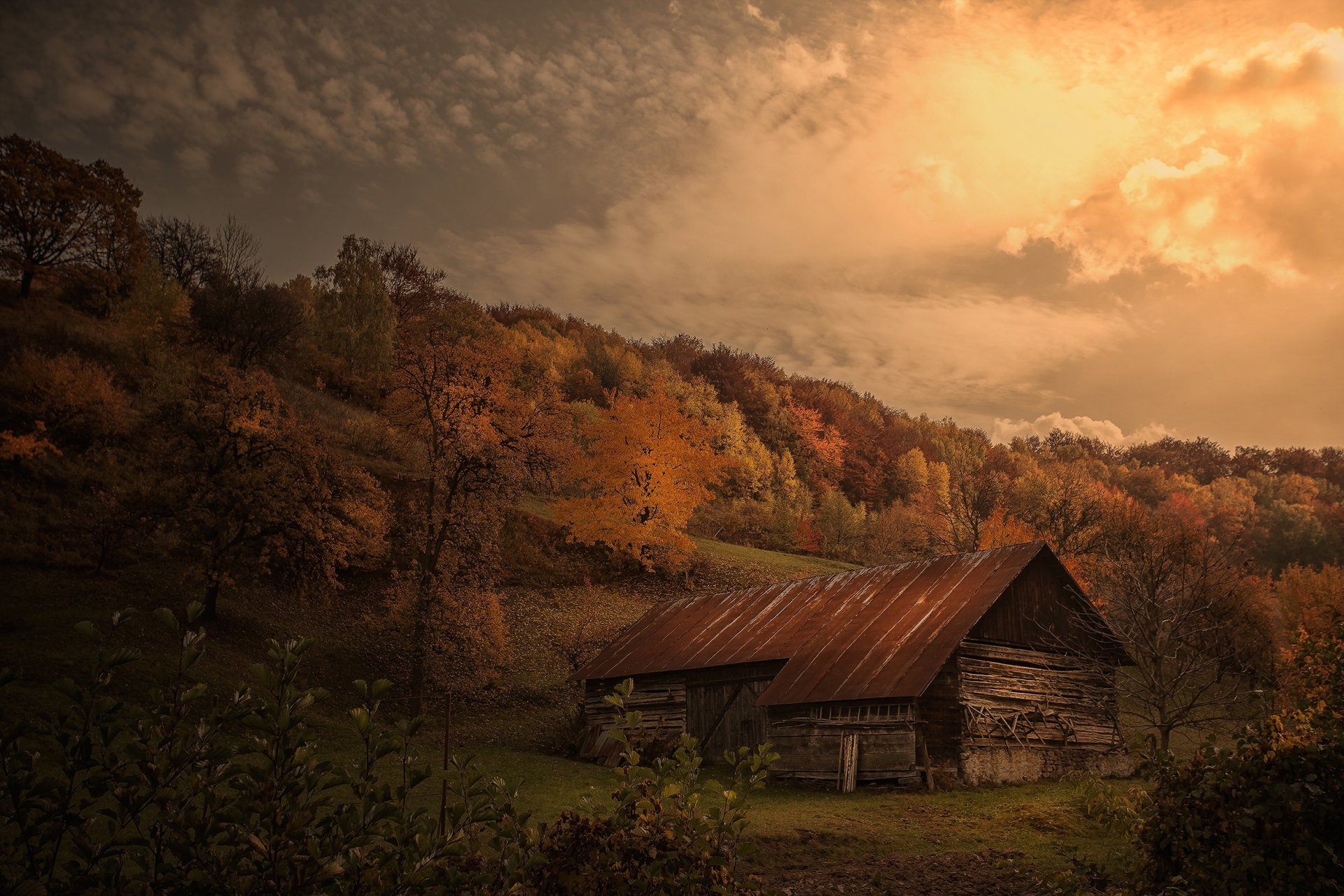 automne banlieue grange