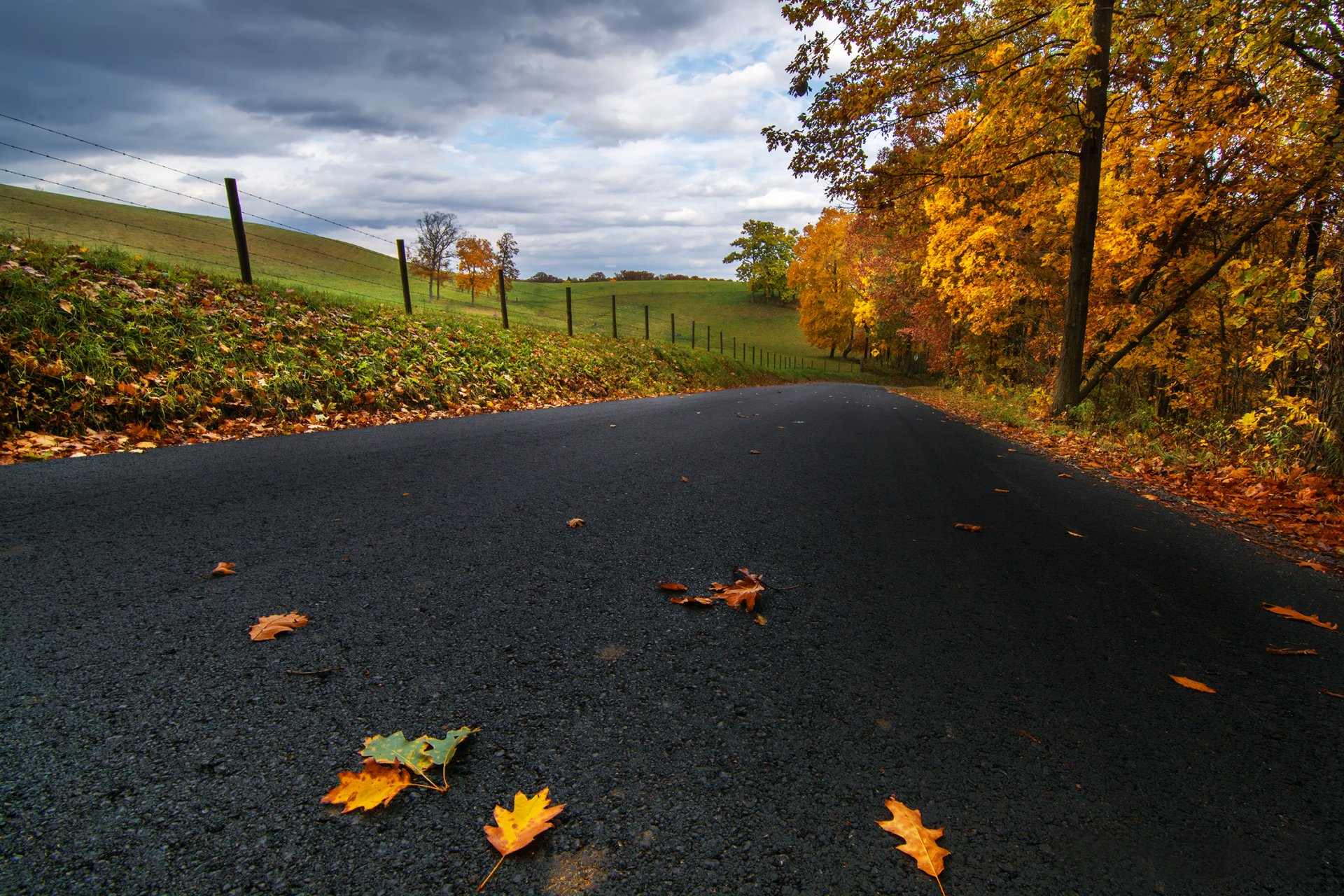 usa pennsylvanie route asphalte feuilles jaune champs arbres nuages automne nature