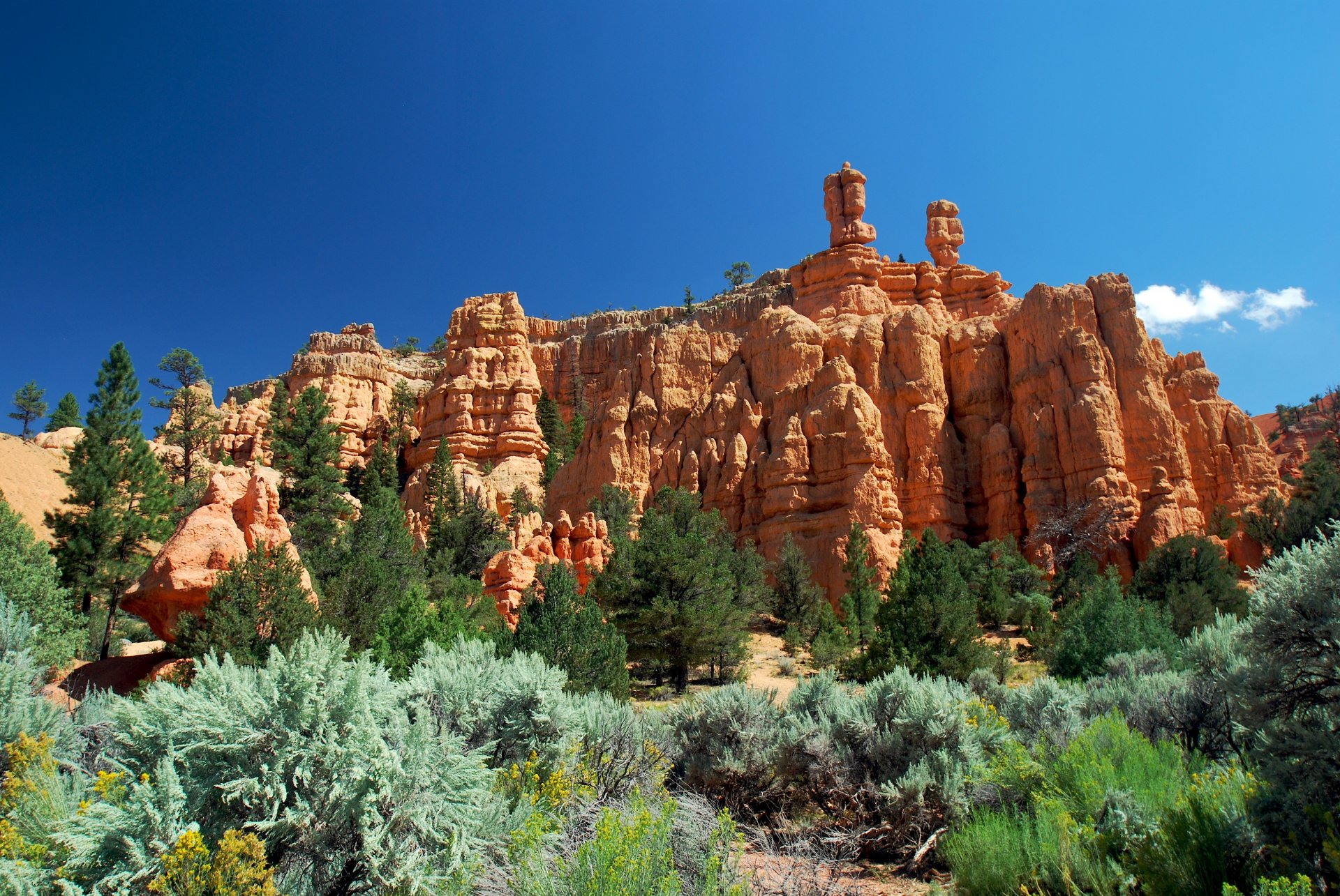 utah roter canyon berge bäume hang himmel