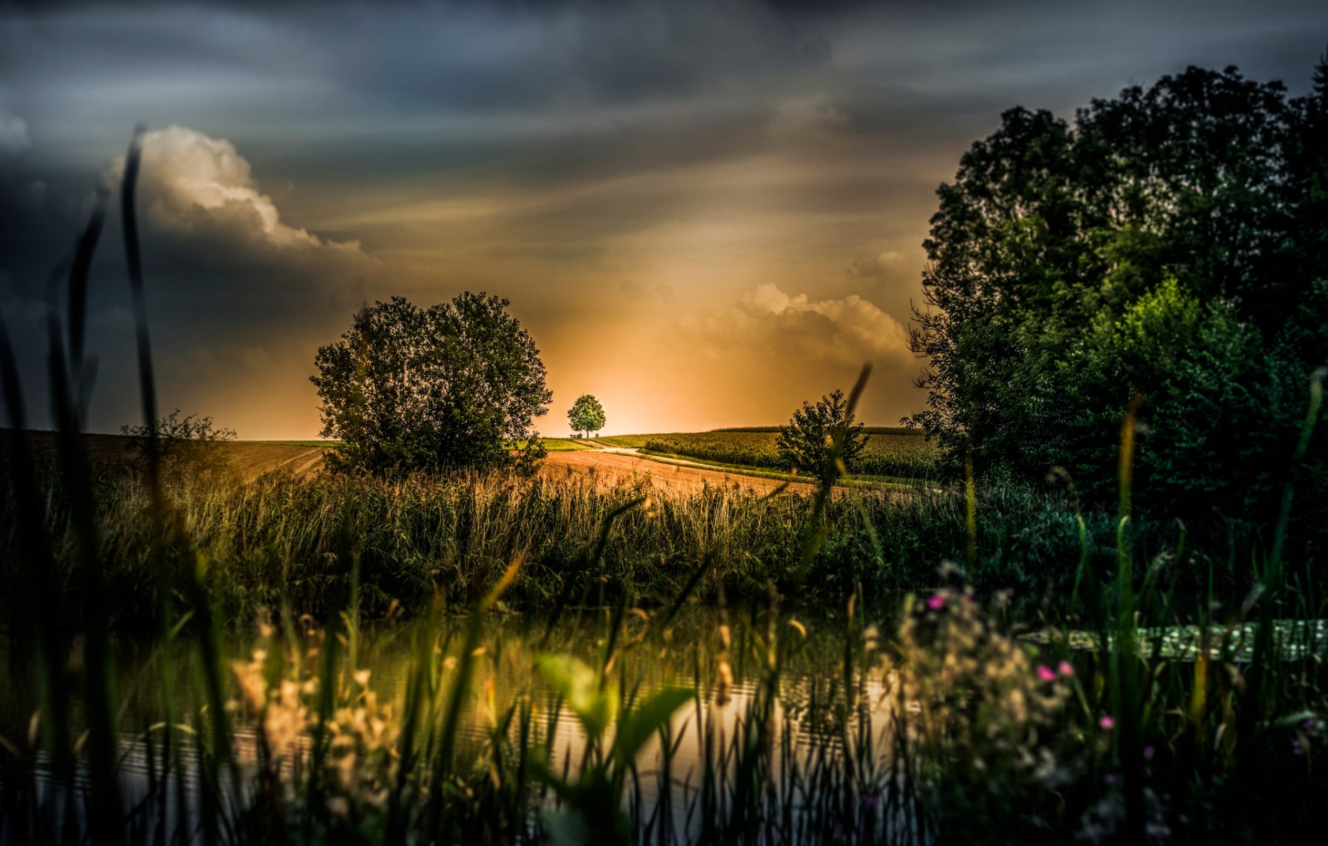 fiume alberi cielo lavorazione