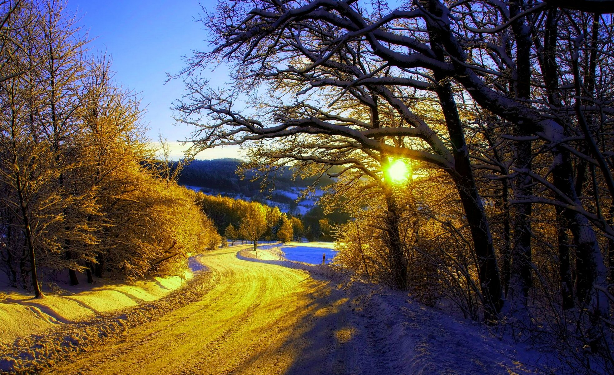 nature winter snow road trees forest sky landscape winter white cool nice sunset