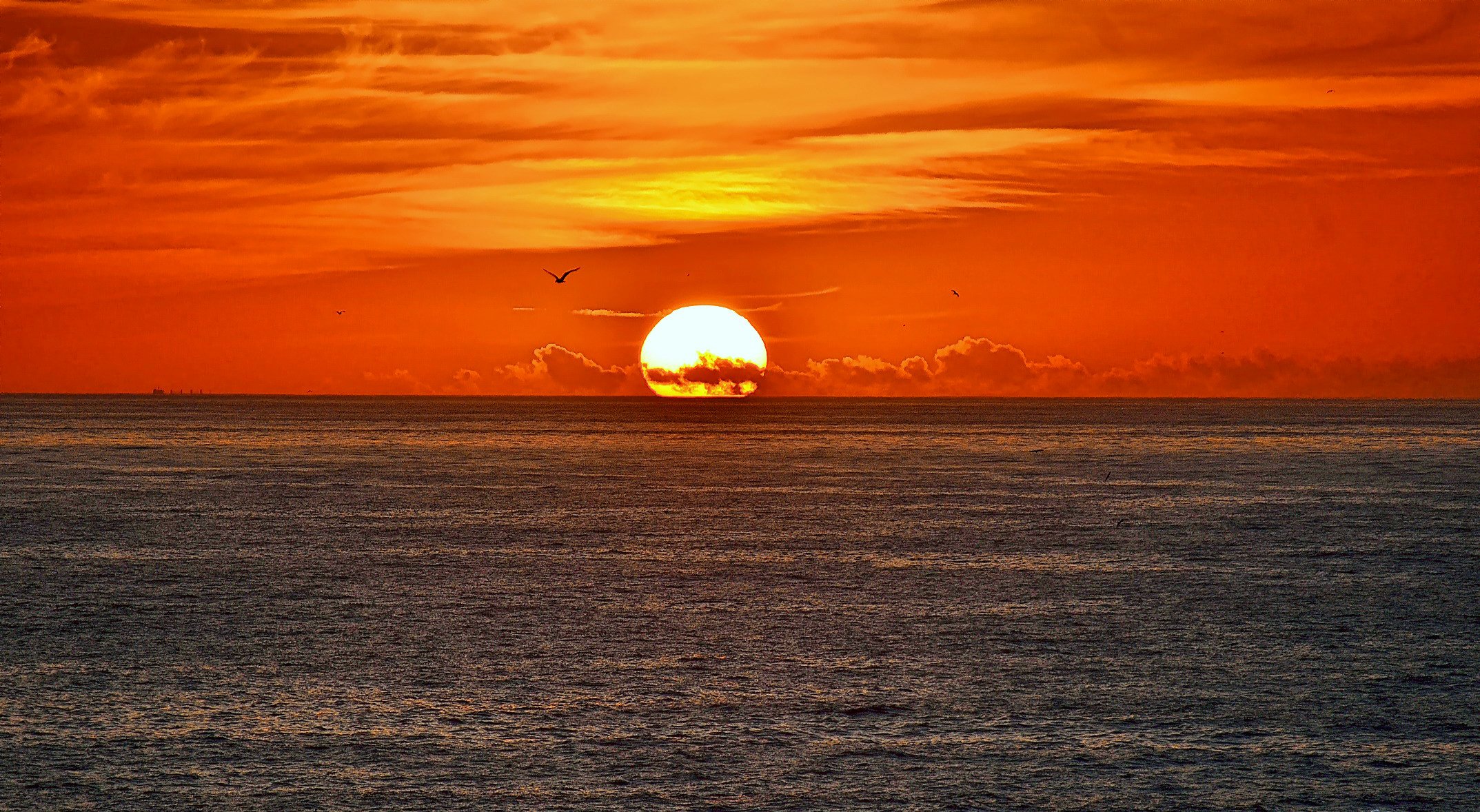 ciel nuages soleil coucher de soleil mer oiseau