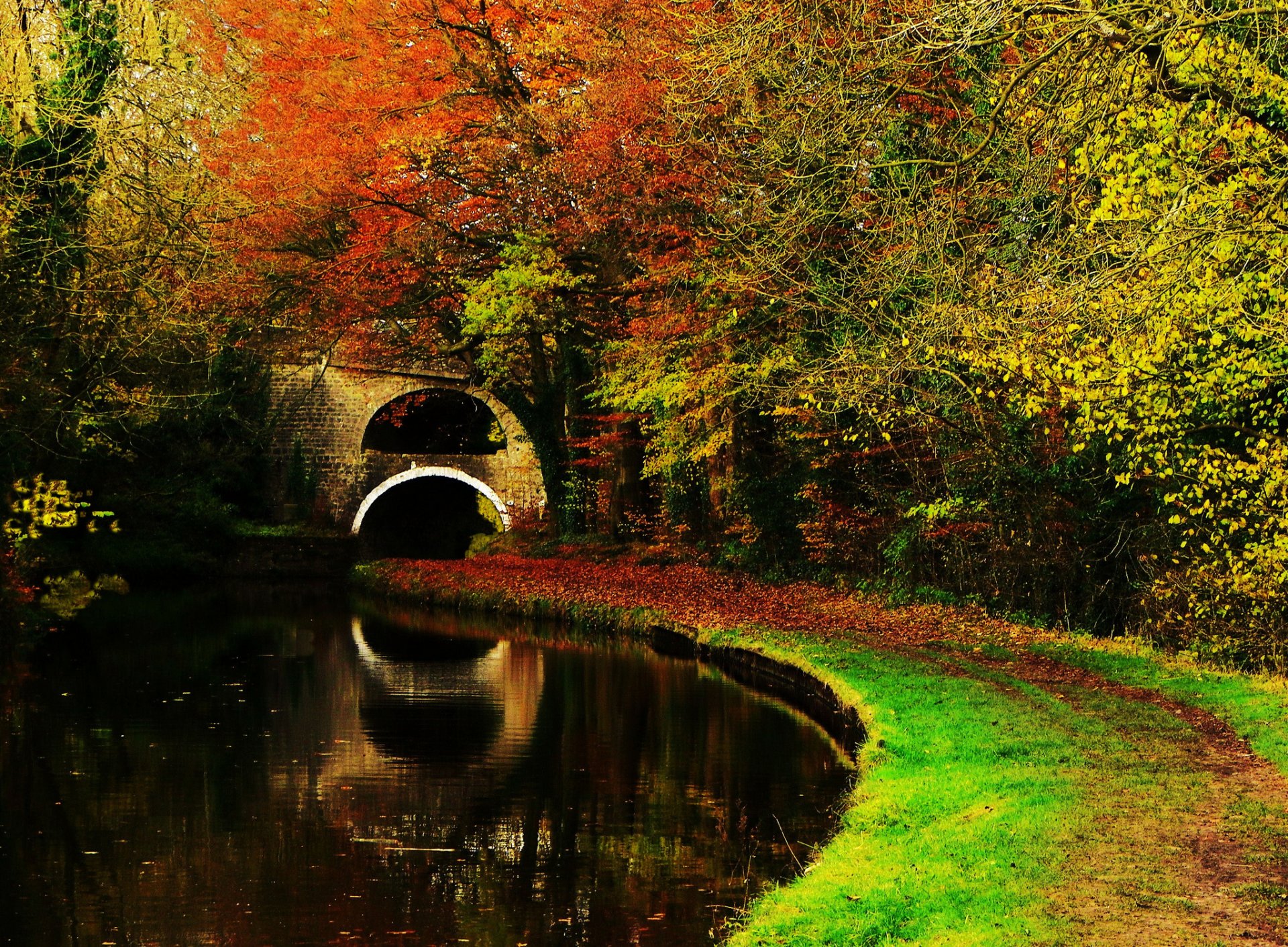 natur landschaft wald herbst bäume blätter see