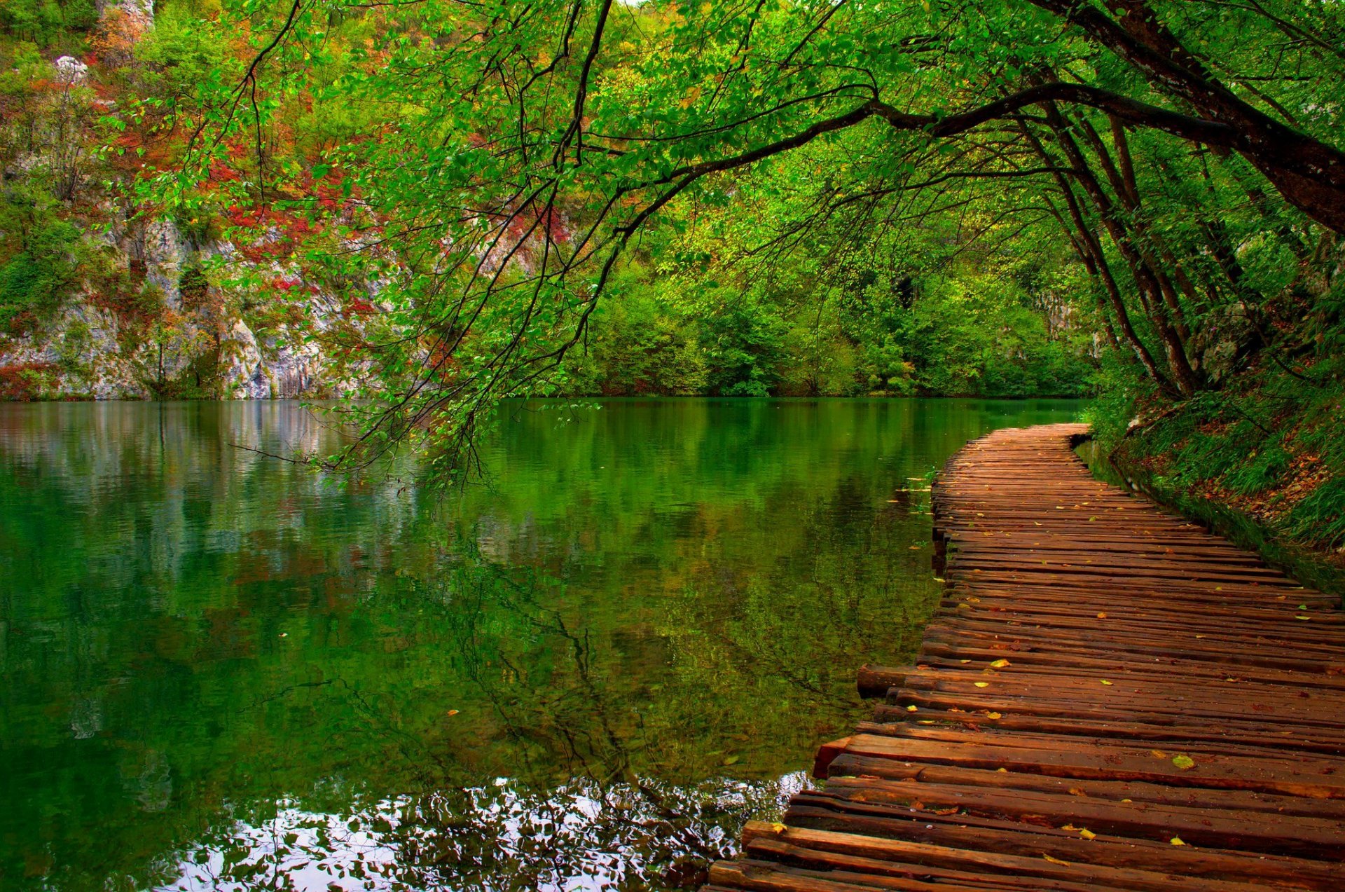 nature rivière eau forêt parc arbres feuilles coloré printemps chute couleurs marche montagnes