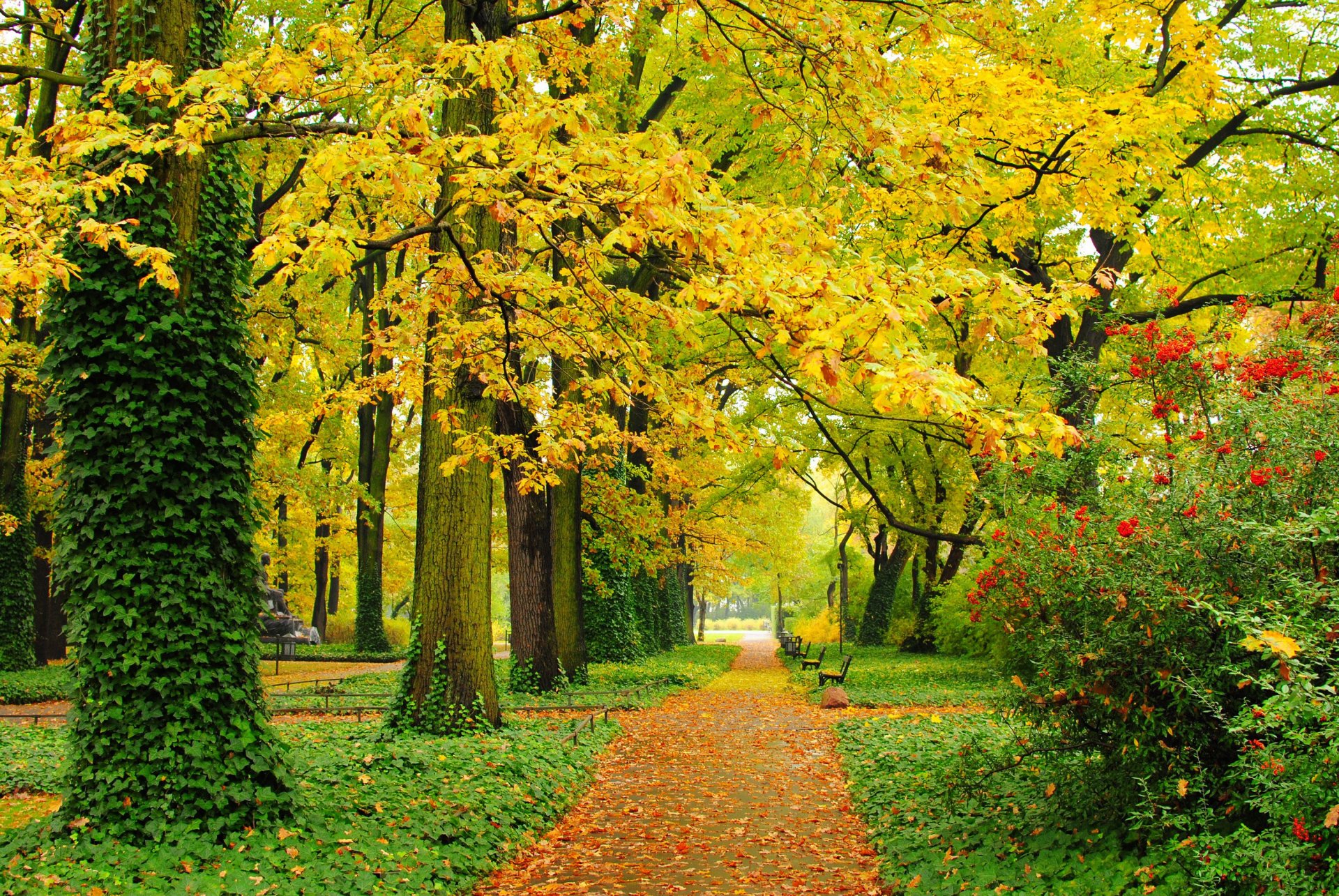 automne parc arbres feuilles jaune vert passerelle bancs allée feuillage