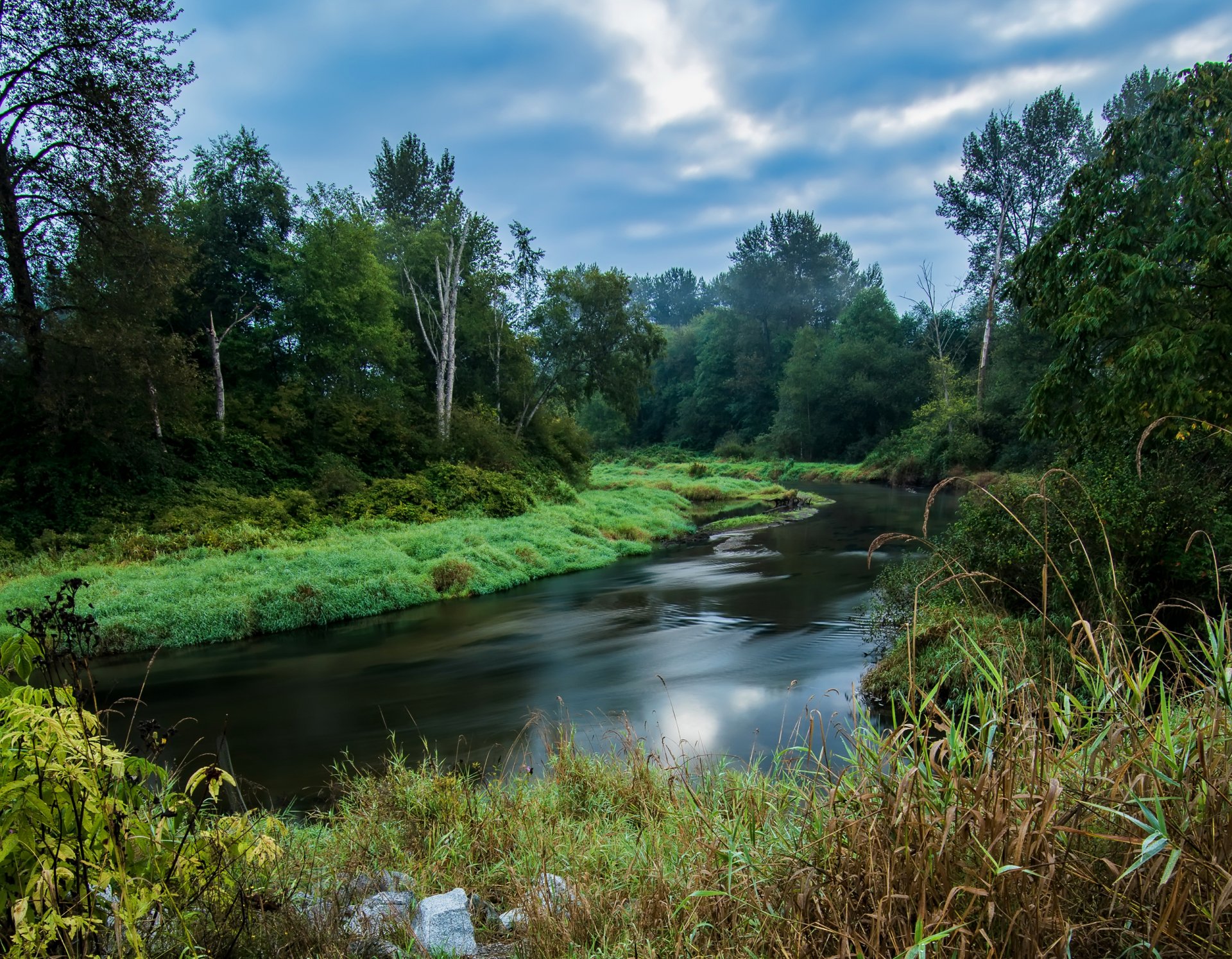 british columbia canada sky forest tree river bush grass landscape