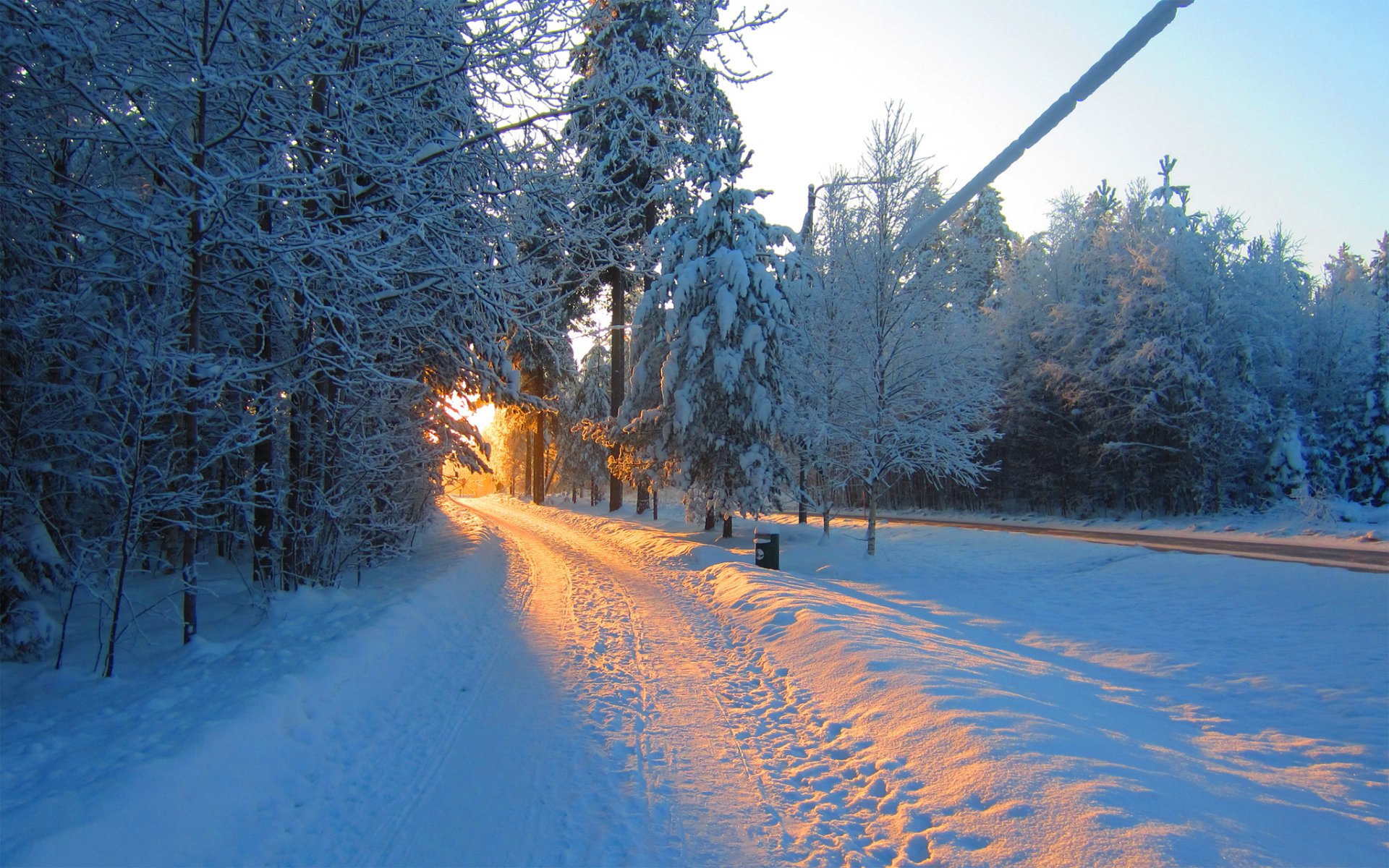 bosque parque linterna carretera invierno nieve puesta de sol