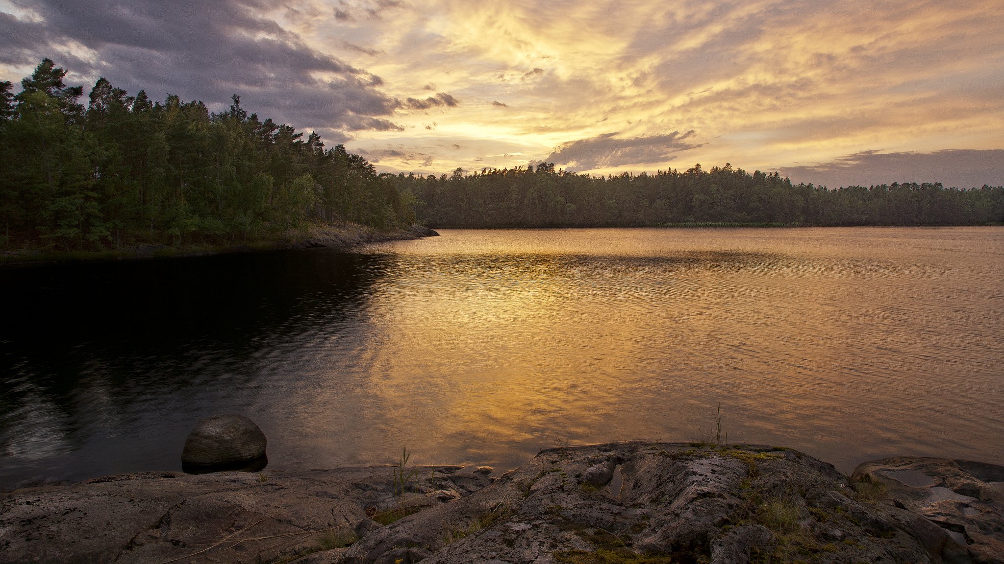 forêt lac coucher de soleil