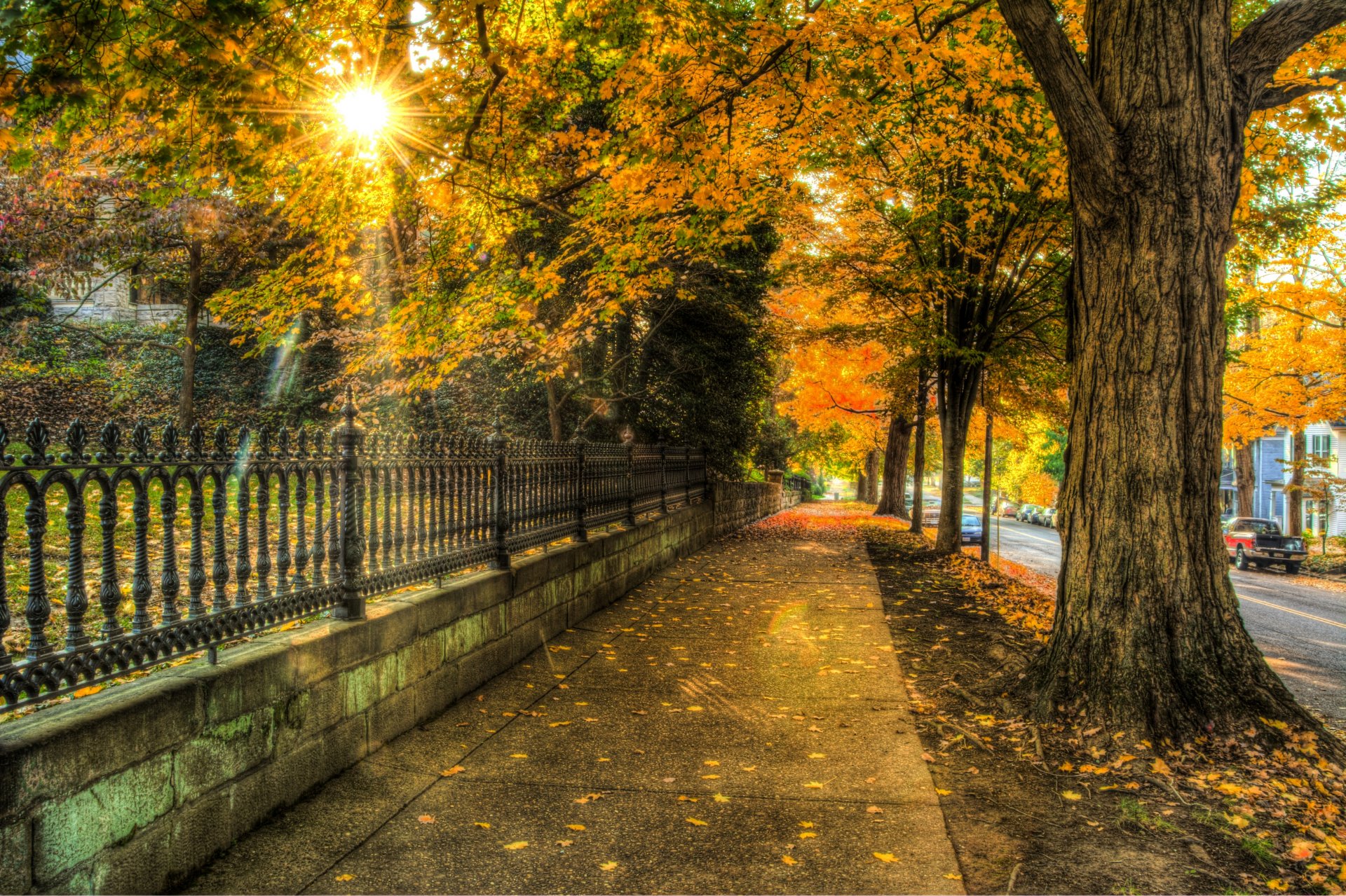 nature architecture maison automne feuilles arbres rue ville