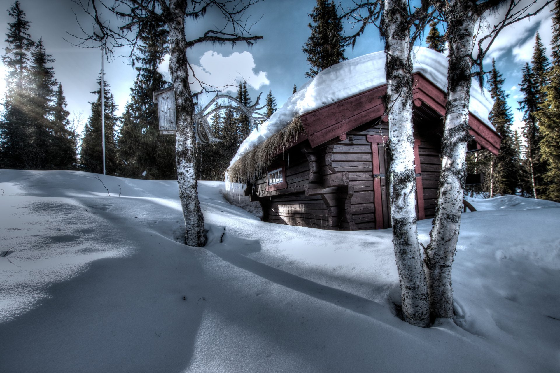 winter snow house trees horns birch spruce forest sky clouds light sunset snowdrift