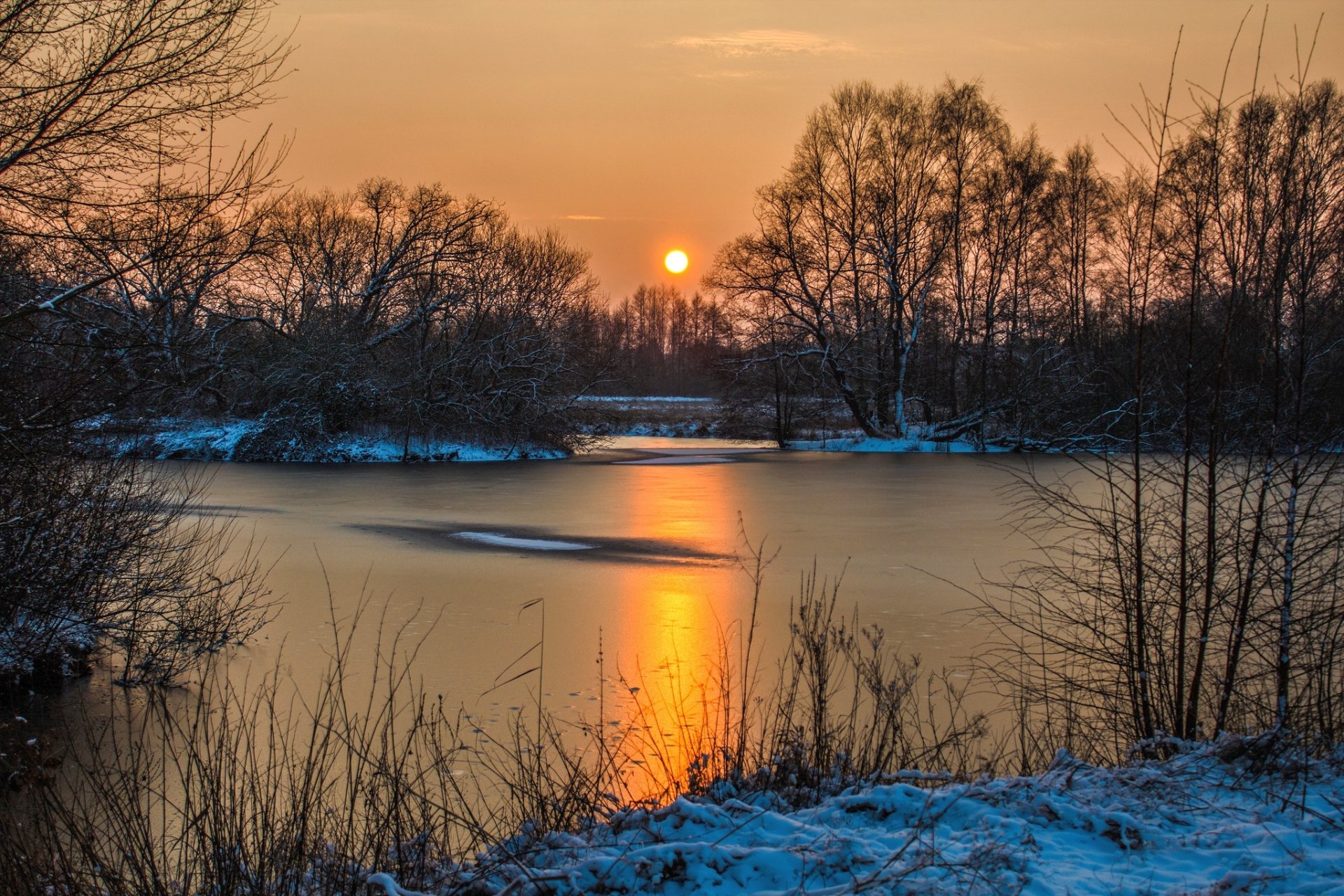 inverno neve acqua alberi cielo sole