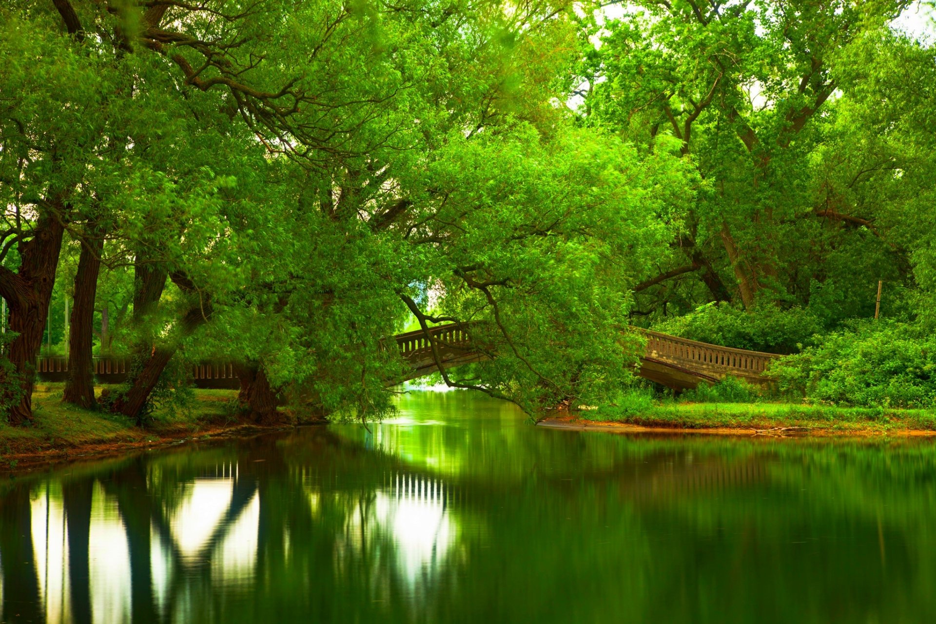 natura rzeka woda las park drzewa most liście kolorowe wiosna spadek kolory spacer góry