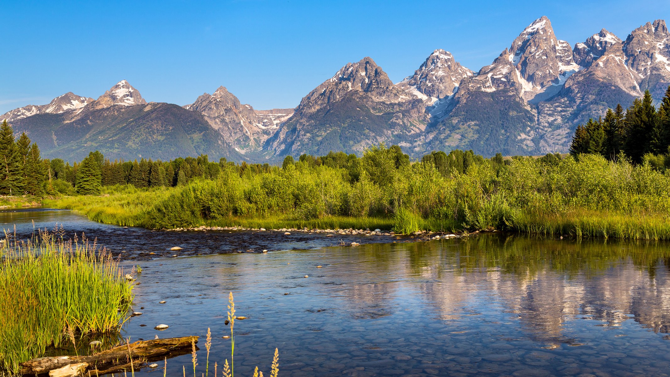 grand teton nationalpark wyoming usa berge see fluss reflexion bäume tanne himmel