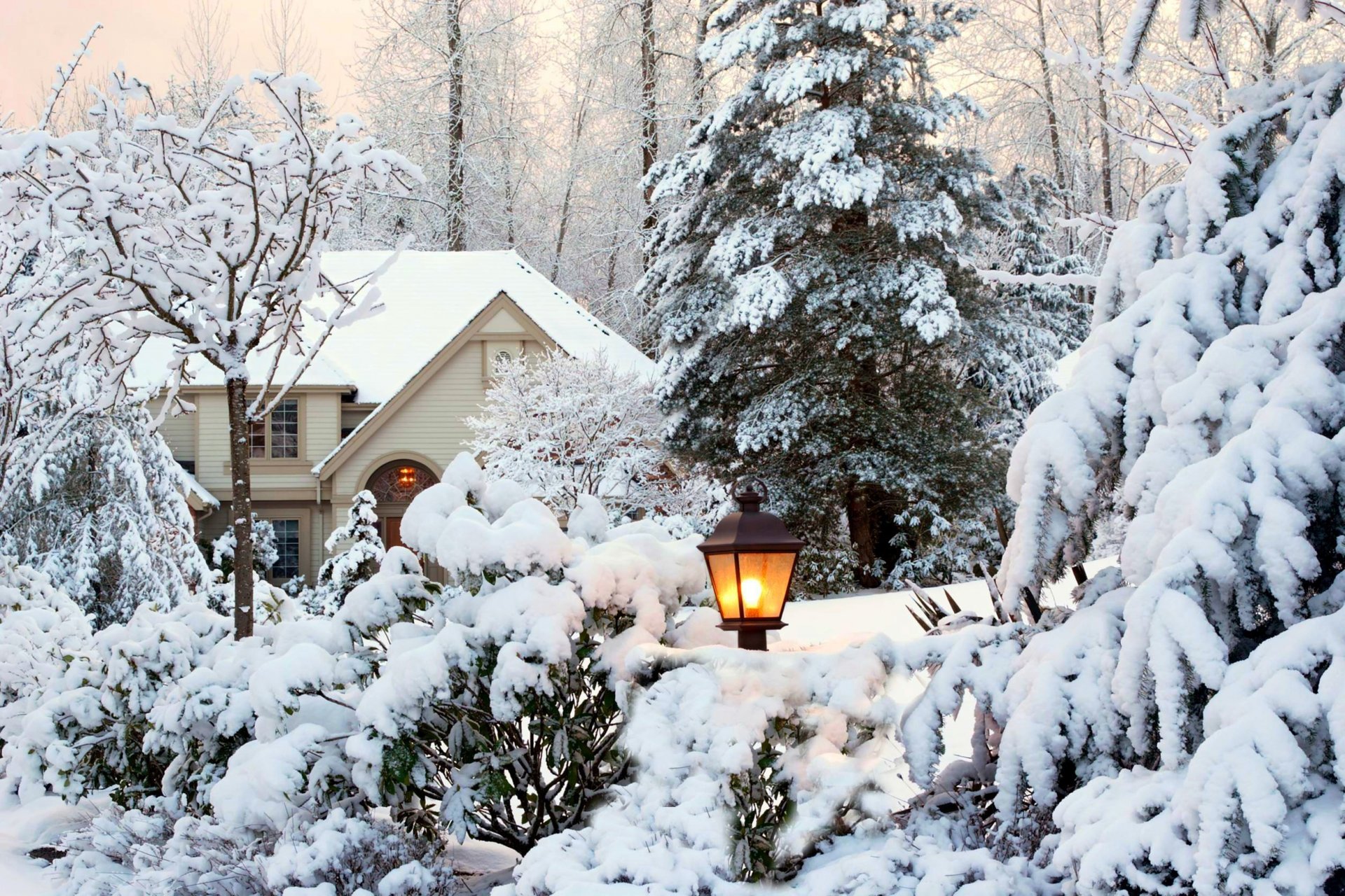 natura alberi giardino parco lanterna casa inverno neve cielo paesaggio inverno bianco