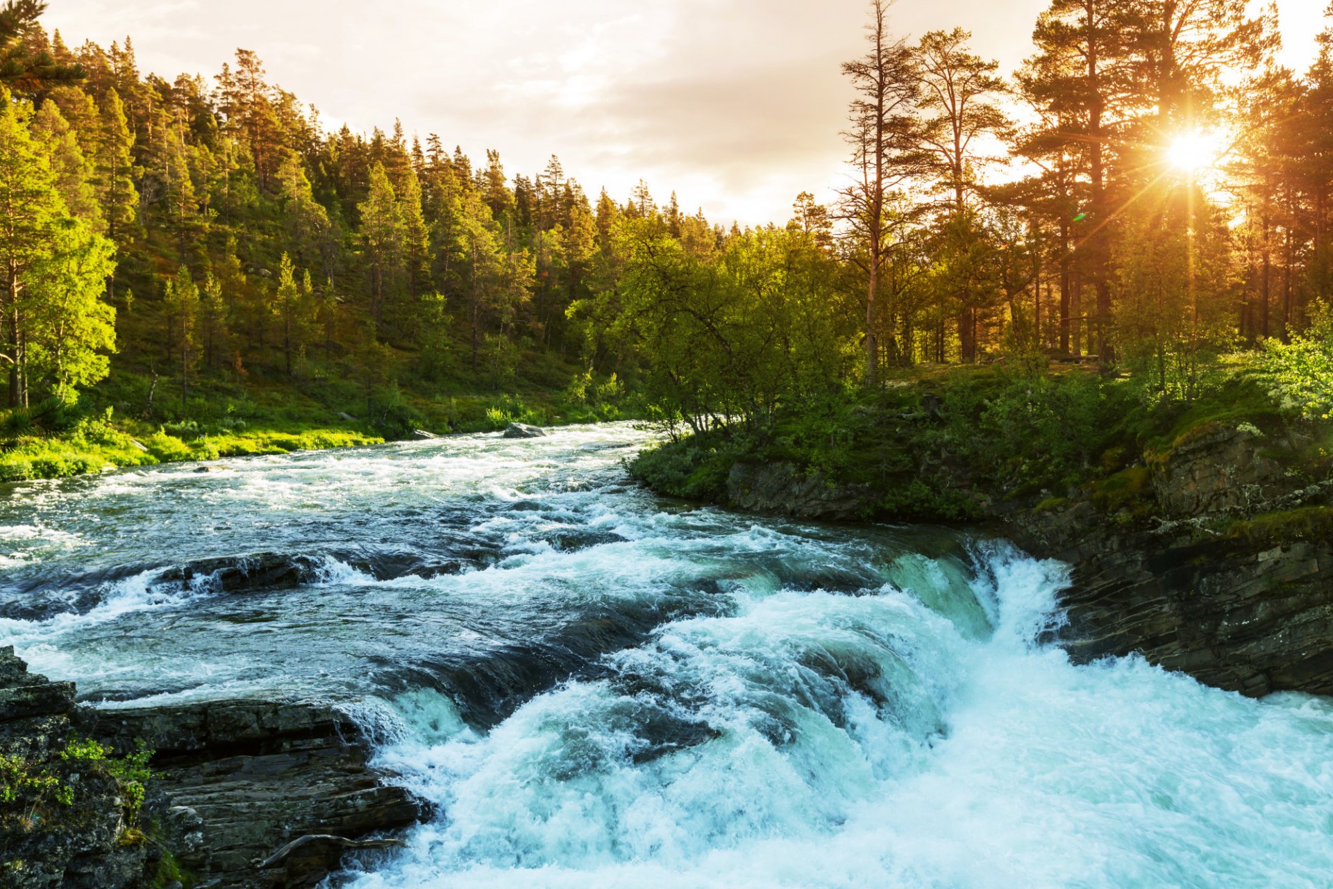 wald bäume fluss stromschnellen himmel sonne