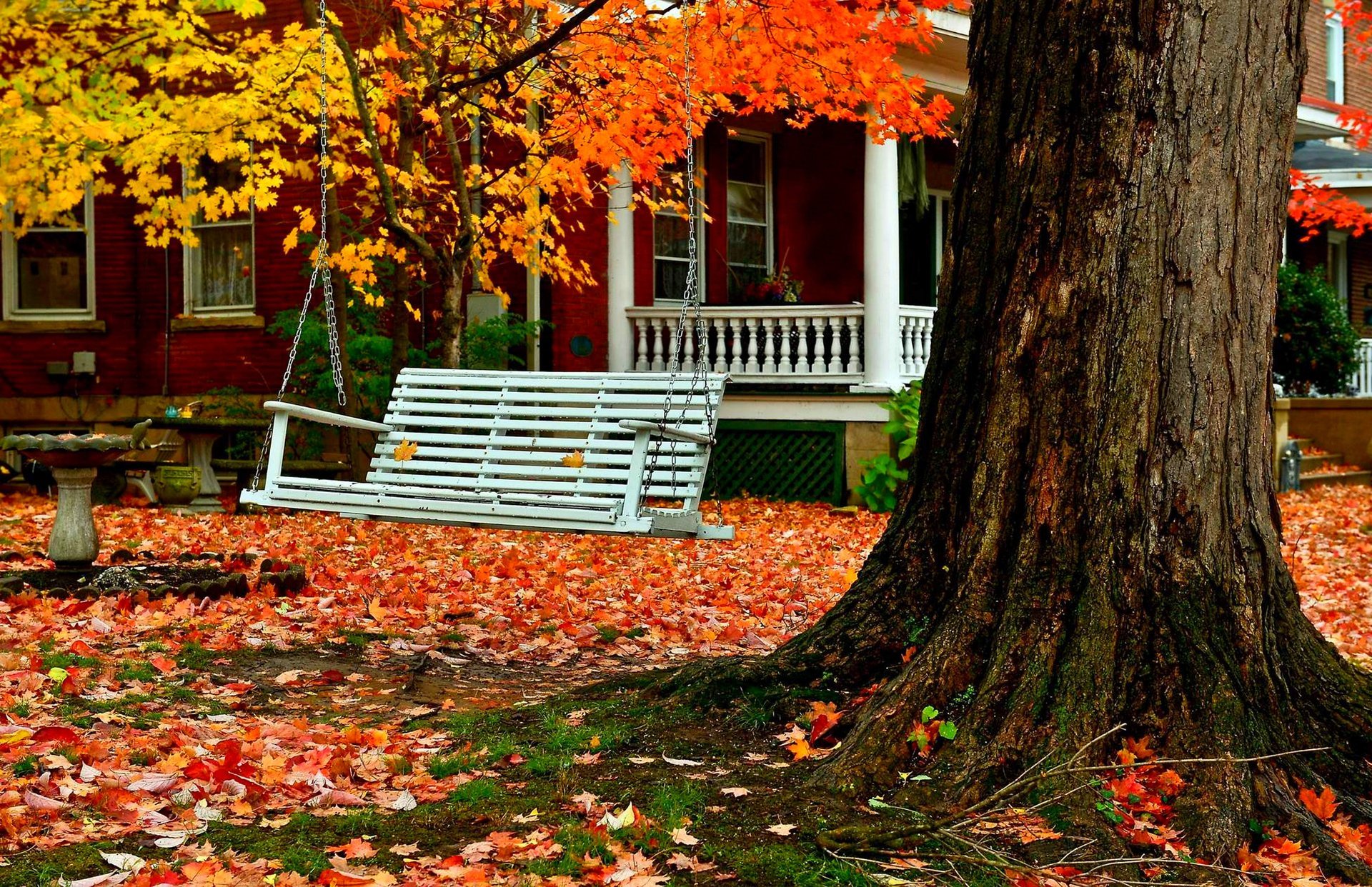 natur wald park bäume blätter bunt straße herbst herbst farben zu fuß gras haus