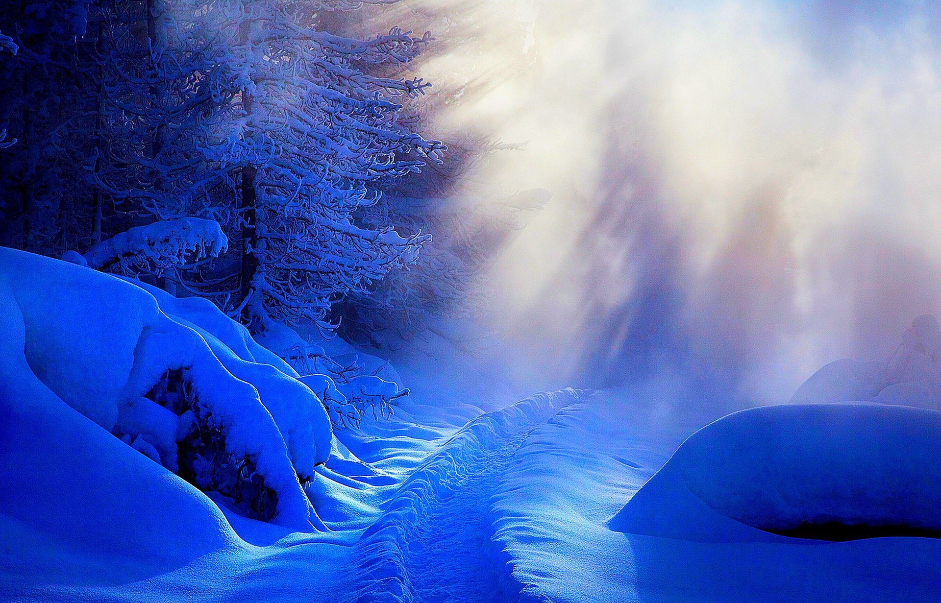 natura inverno neve strada alberi foresta cielo paesaggio inverno bianco fresco bello tramonto