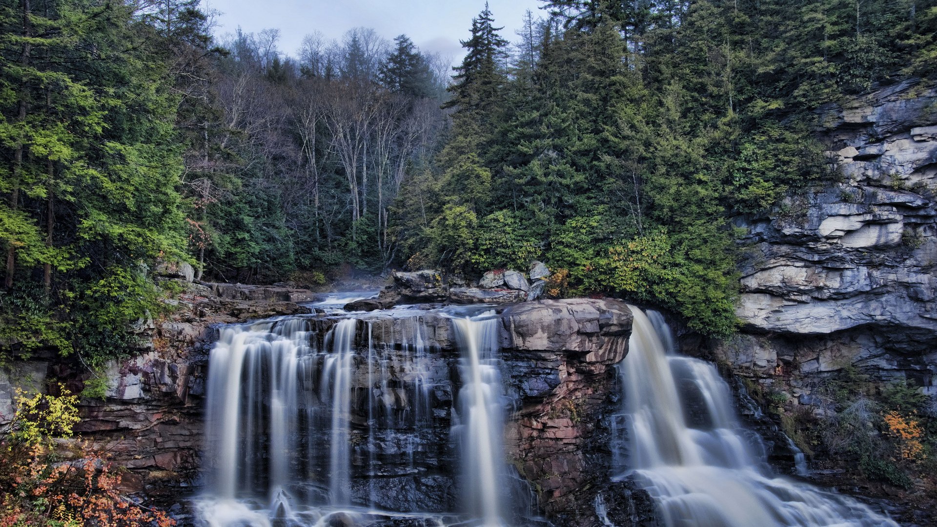 forêt cascades roches arbres feuillage