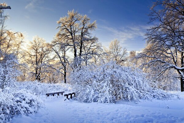 Winter landscape with a bridge in the forest