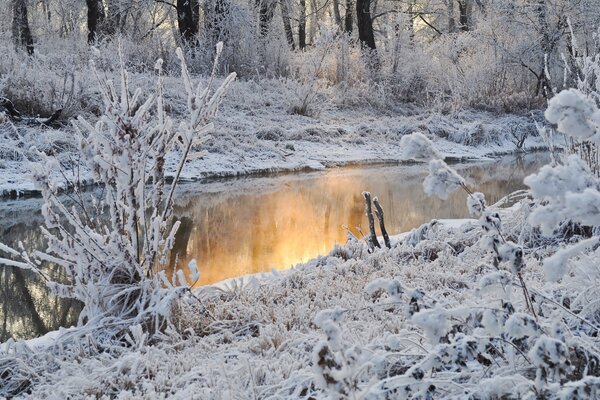 Ein Fluss im Wald, der mit Schnee bedeckt ist