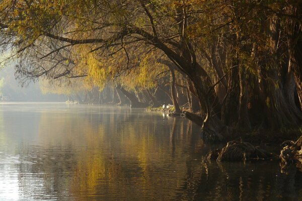 Parque de otoño con un magnífico lago