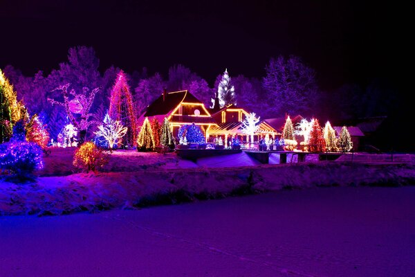 Guirlandes de Noël sur les maisons et les arbres la nuit