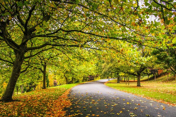 Ein Spaziergang durch den Park. der goldene Herbst