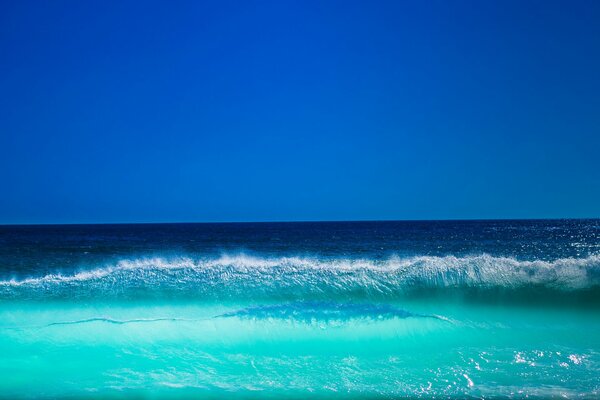 Sea green wave on a blue background