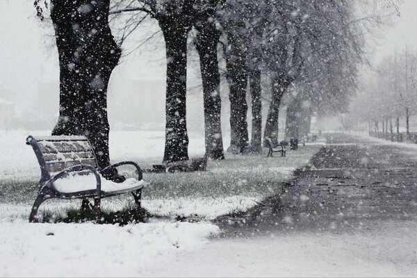 Negozio nel parco coperto di neve