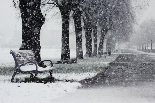 Лавку в парке занесло снегом