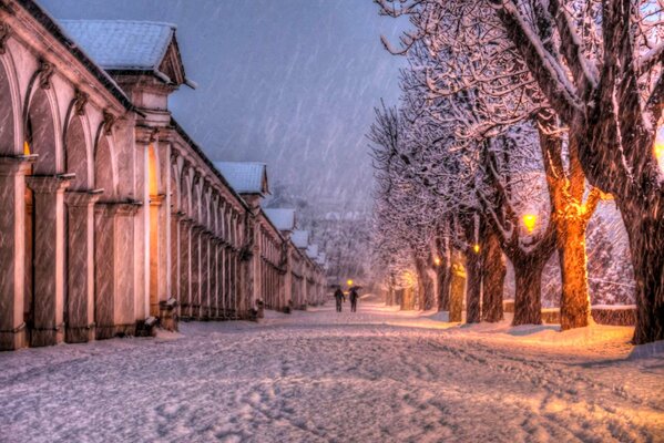 Landschaft der Natur im Winter