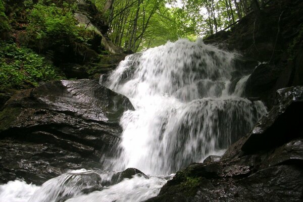 Mountain river in the Carpathians