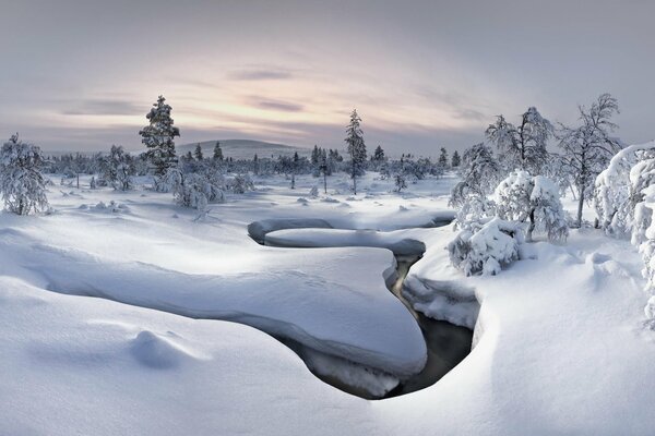 Winter river among the wild