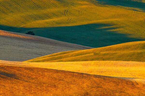 The endless fields of Italy. Morning