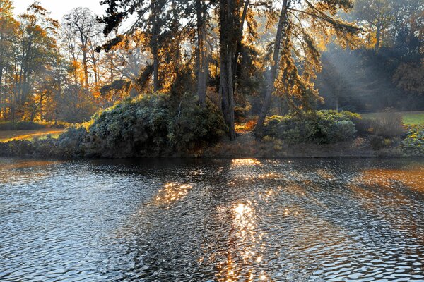 Lac dans le parc d automne éclairé par le soleil