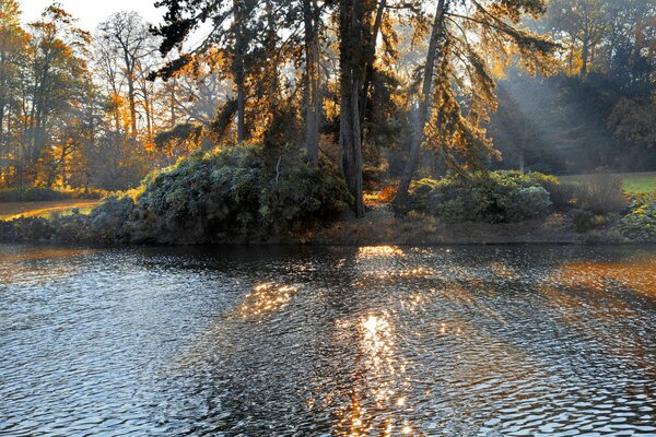 Lago nel parco autunnale illuminato dal sole