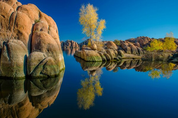 El estado de Arizona refleja los árboles en el lago