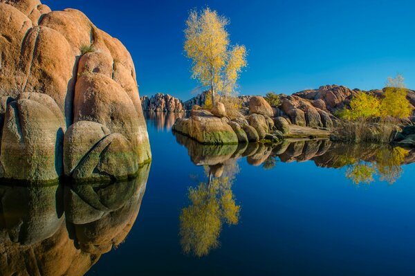 Lo stato Dell Arizona riflette gli alberi nel lago