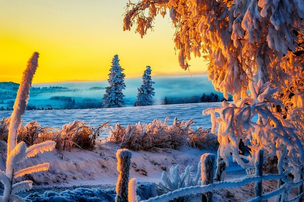 Winterlandschaft der verschneiten Straße