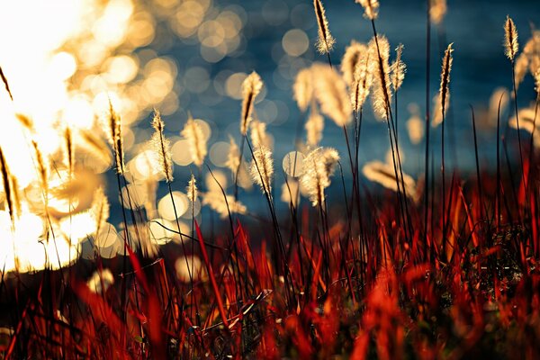 La naturaleza juega con los rayos del sol