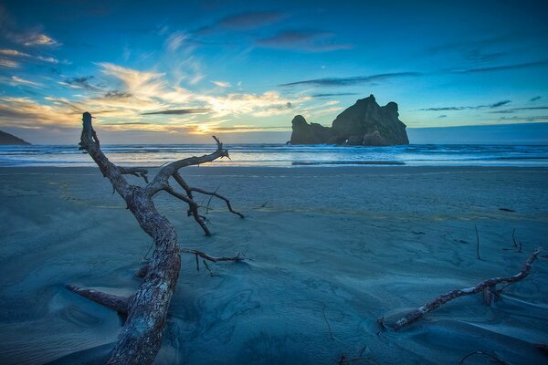 Orizzonte del mare al tramonto