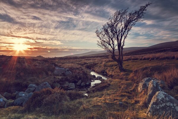 The nature of stones in the rays of the sun at sunset and the river