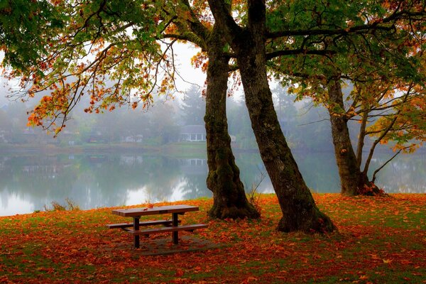 A lonely bench on the lake shore