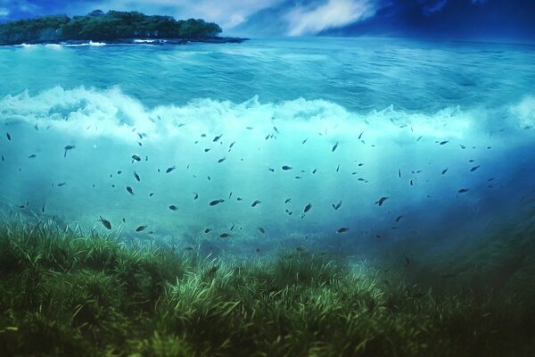 Hermosa vista de la ola azul en la isla