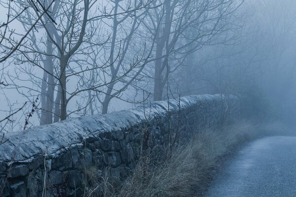 Por la mañana en la carretera de niebla valla de piedra