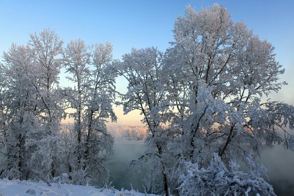 Frostiger Morgen auf dem Feld. Knisternder Frost