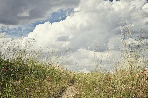 The path goes through the field