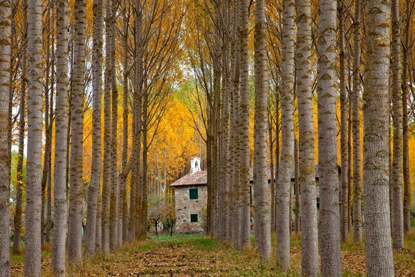 Vicolo autunnale spagnolo alla casa