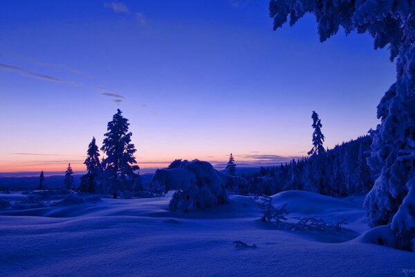 Coucher de soleil sur la forêt d hiver